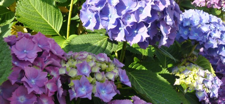 Château de Rilhac Xaintrie