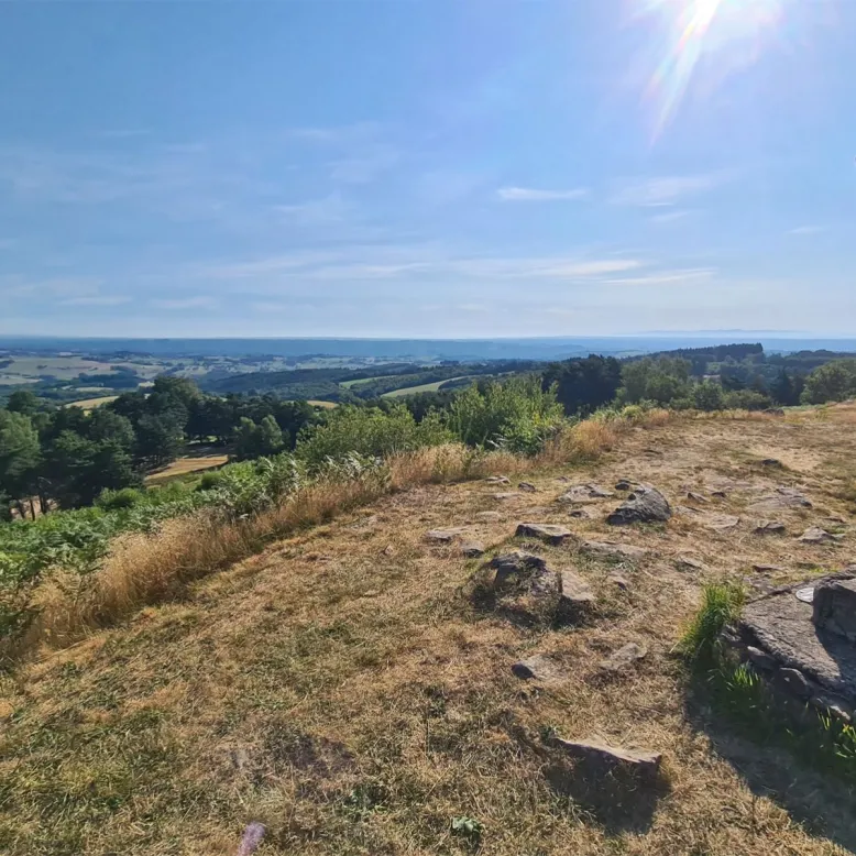 Roche de Vic