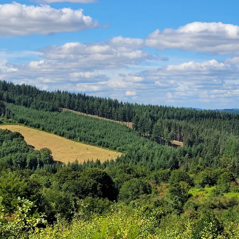 Massif des Monédières