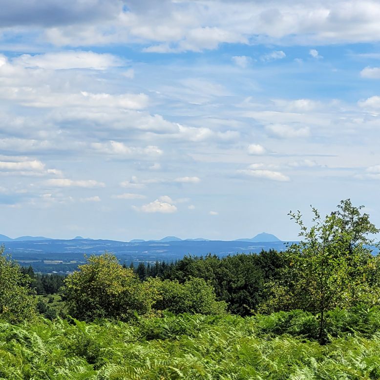 La Forêt des Agriers