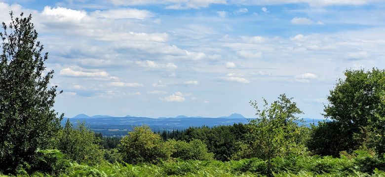 La Forêt des Agriers