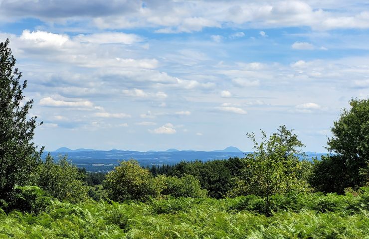La Forêt des Agriers