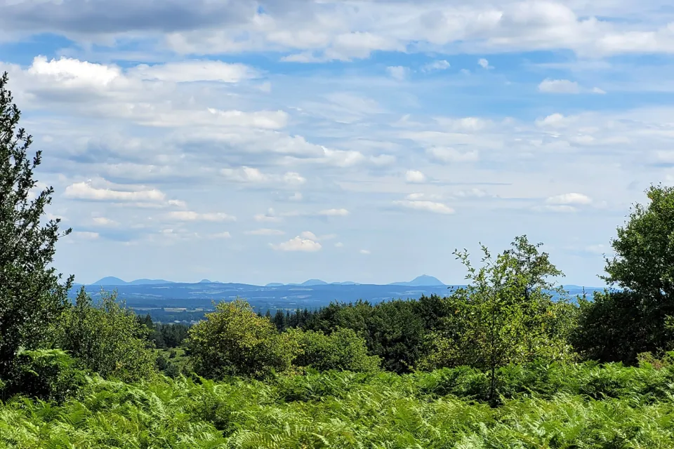 La Forêt des Agriers