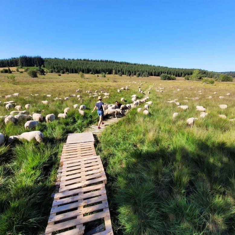 Les Tourbières de Longeyroux