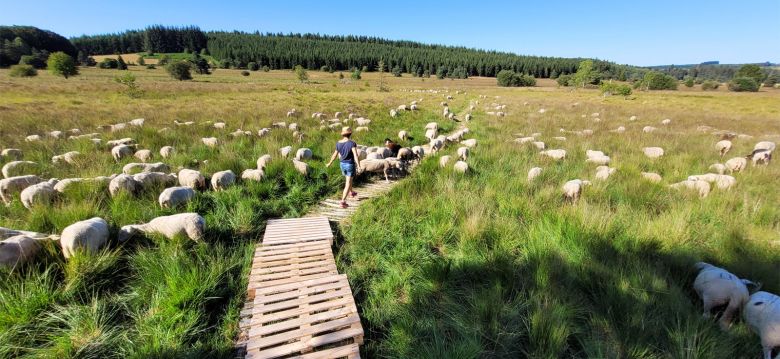 Les Tourbières de Longeyroux
