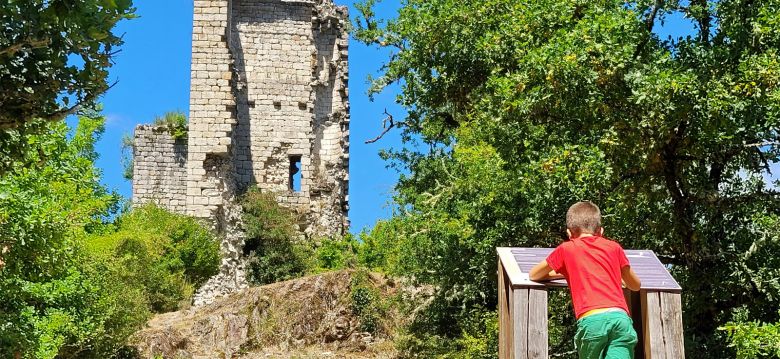 Les Tours de Carbonnières