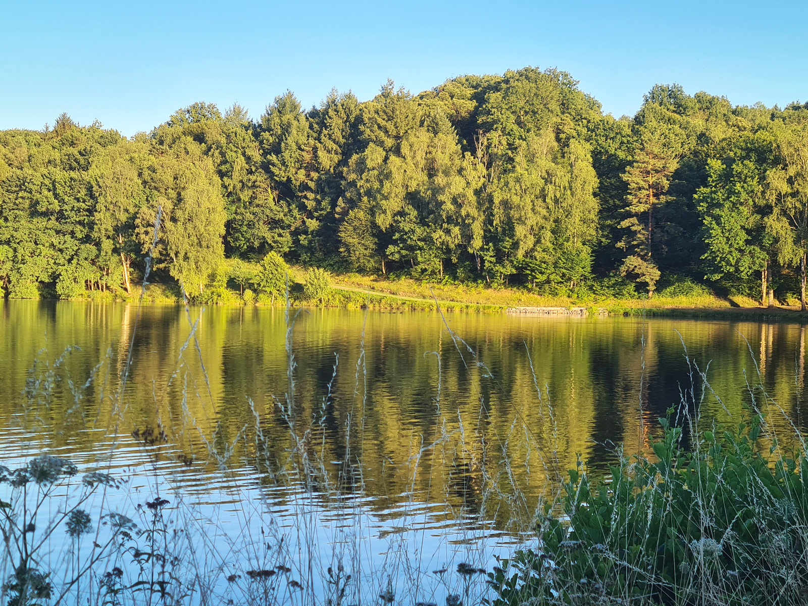 Lac de Pontcharal