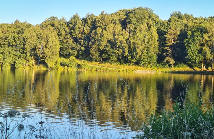 Lac de Pontcharal