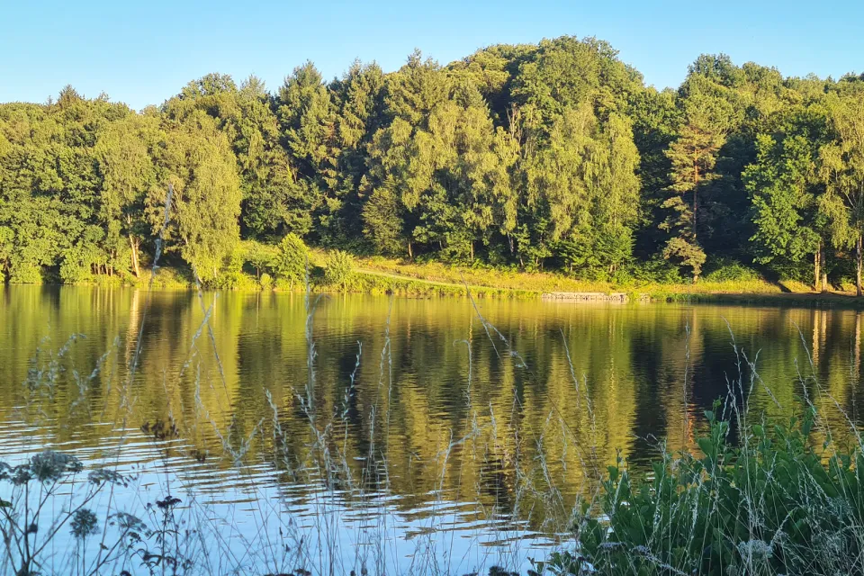Lac de Pontcharal