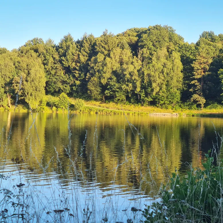 Lac de Pontcharal