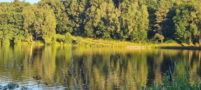Lac de Pontcharal