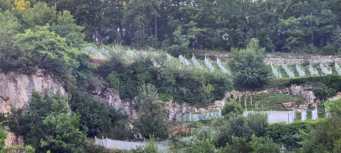 Lissac-sur-Couze