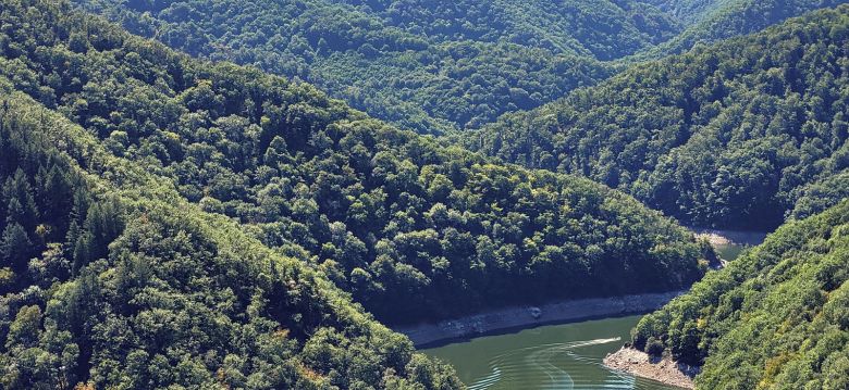 Belvédère de Gratte Bruyère