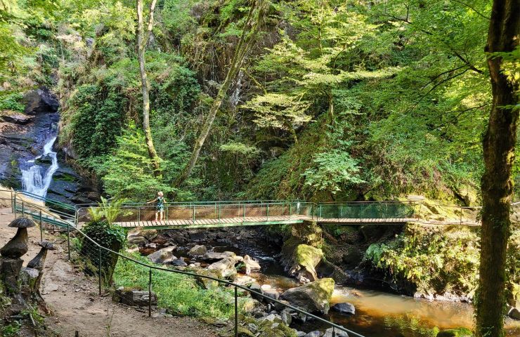 Parc Vuillier