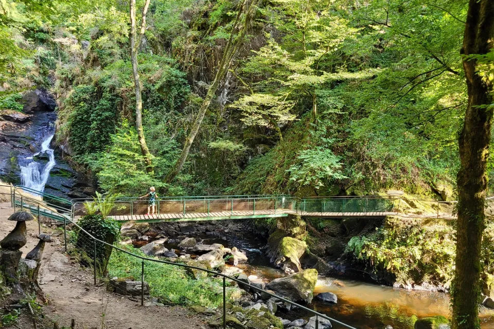 Parc Vuillier