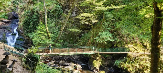 Parc Vuillier