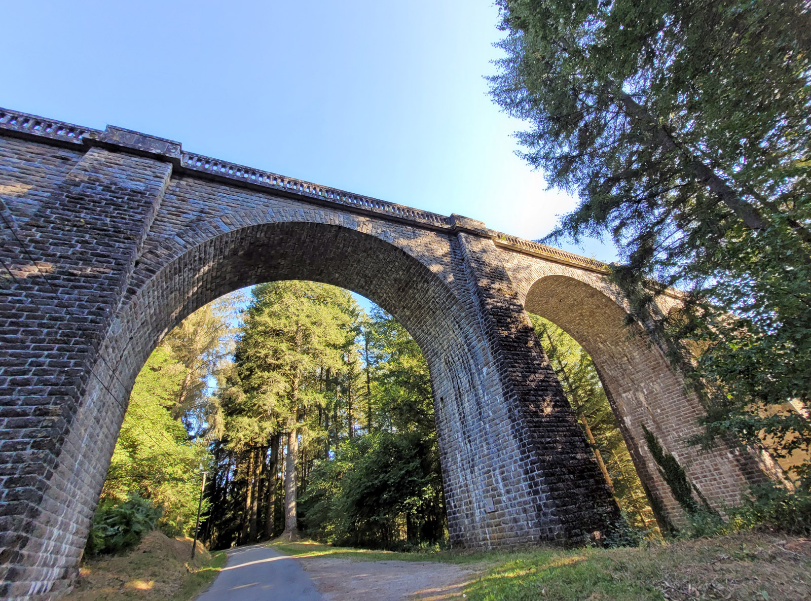 Viaduc des Farges et sa Douglaseraie