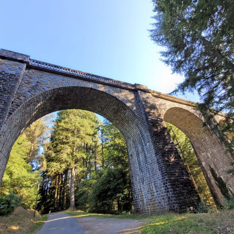 Viaduc des Farges et sa Douglaseraie