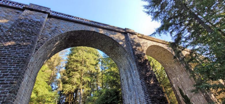 Viaduc des Farges et sa Douglaseraie