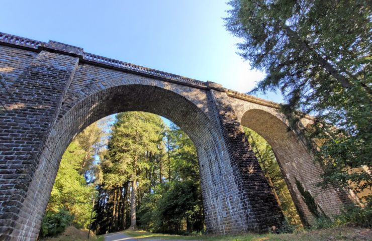 Viaduc des Farges et sa Douglaseraie