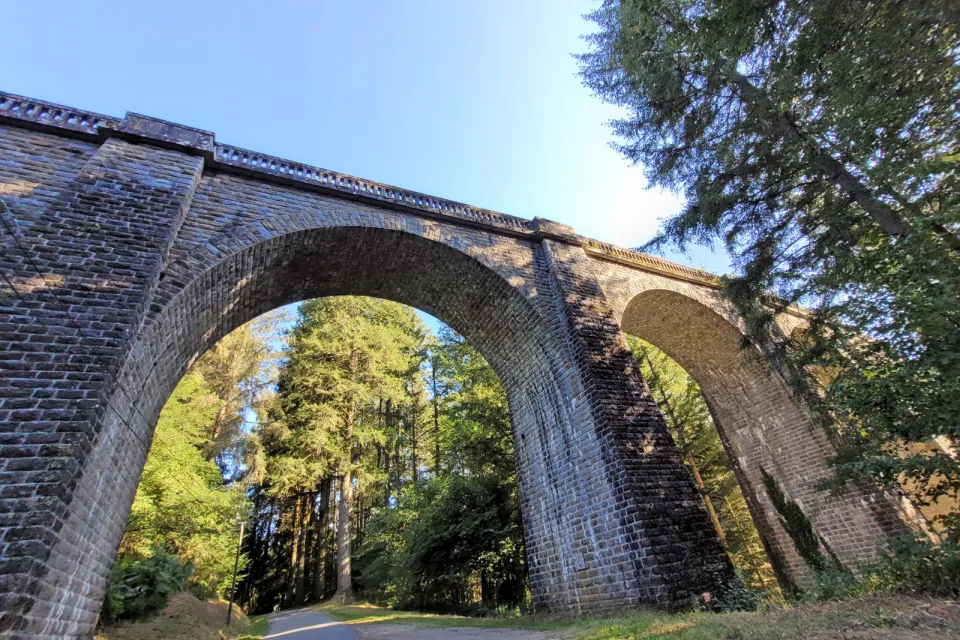 Viaduc des Farges et sa Douglaseraie