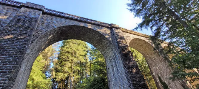 Viaduc des Farges et sa Douglaseraie