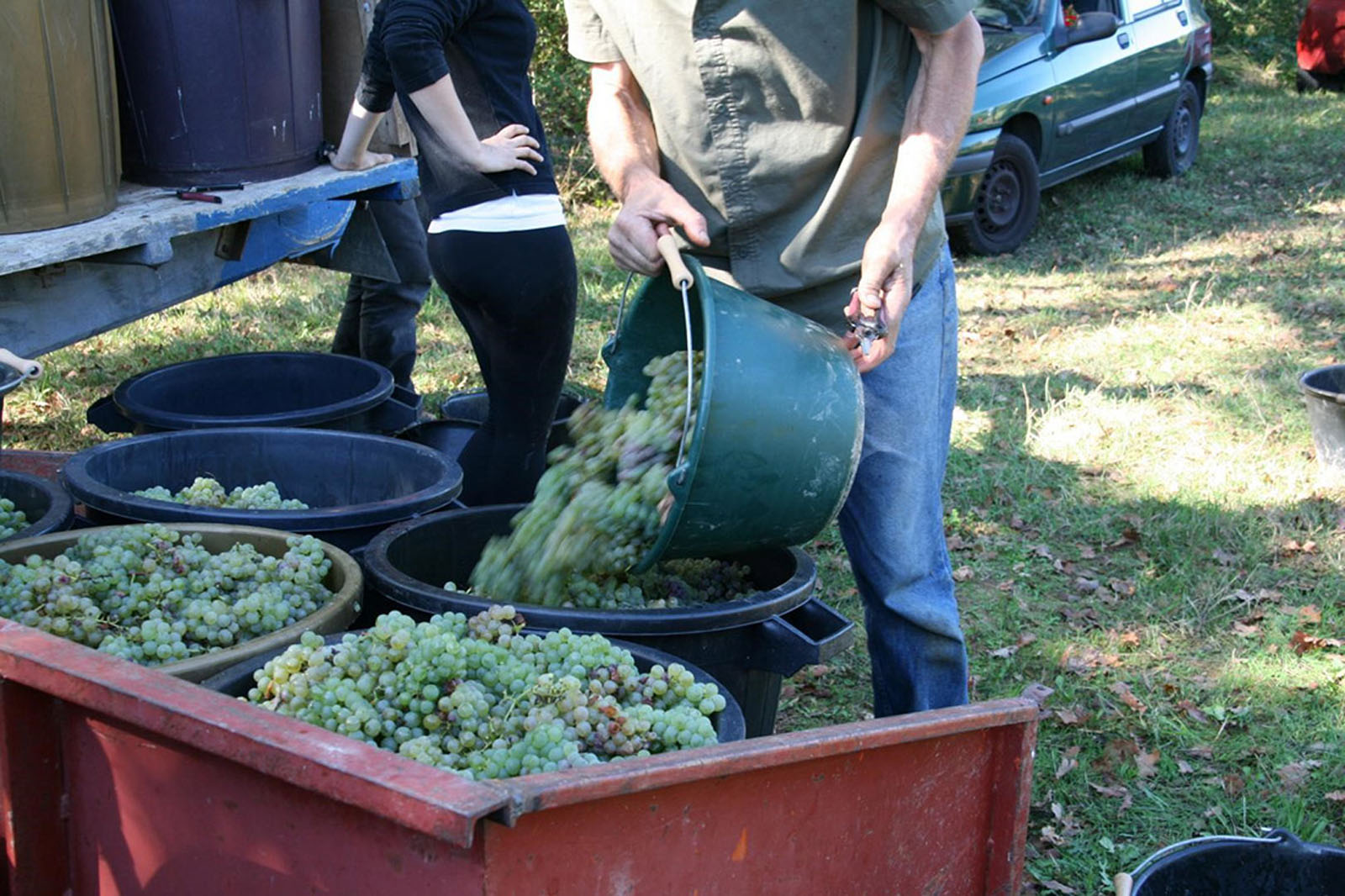 Domaine de la Gardelle
