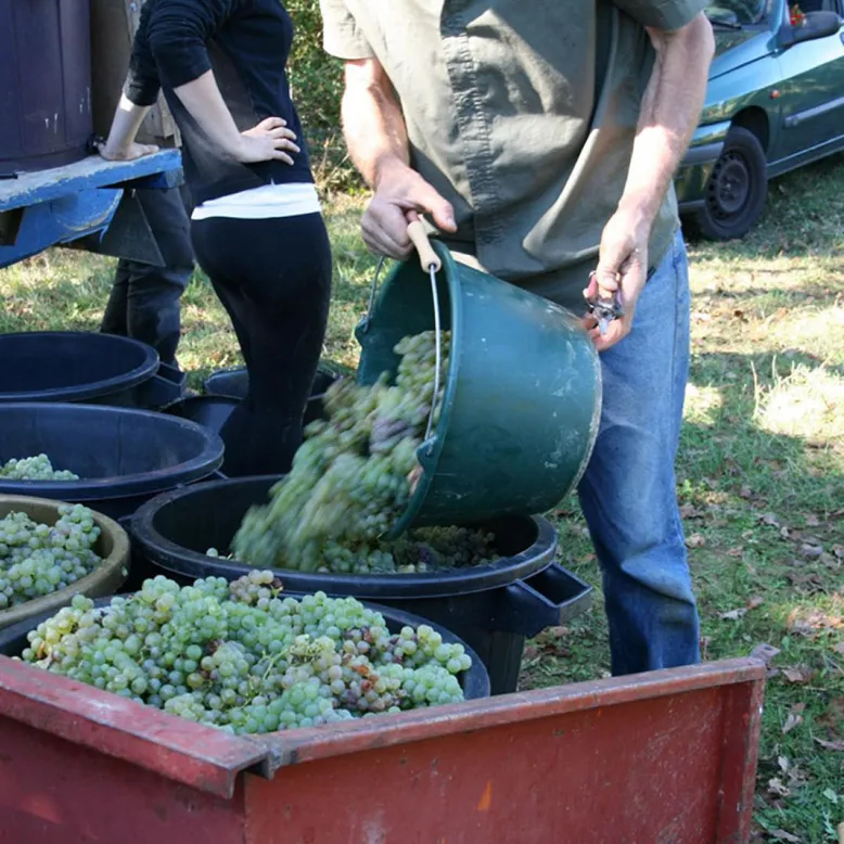 Domaine de la Gardelle