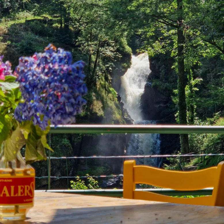 Parc Vuillier - Cascades de Gimel