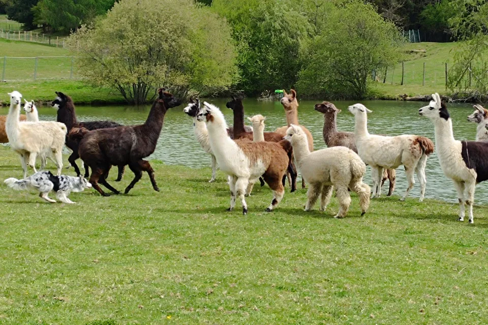 La Ferme de Lama'zière