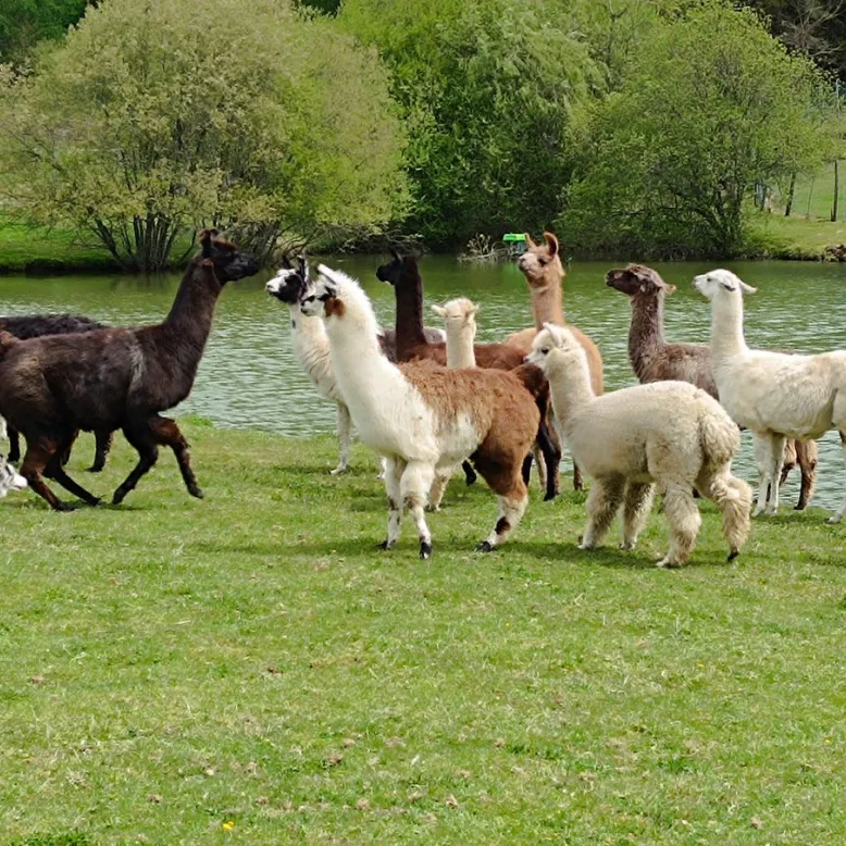 La Ferme de Lama'zière