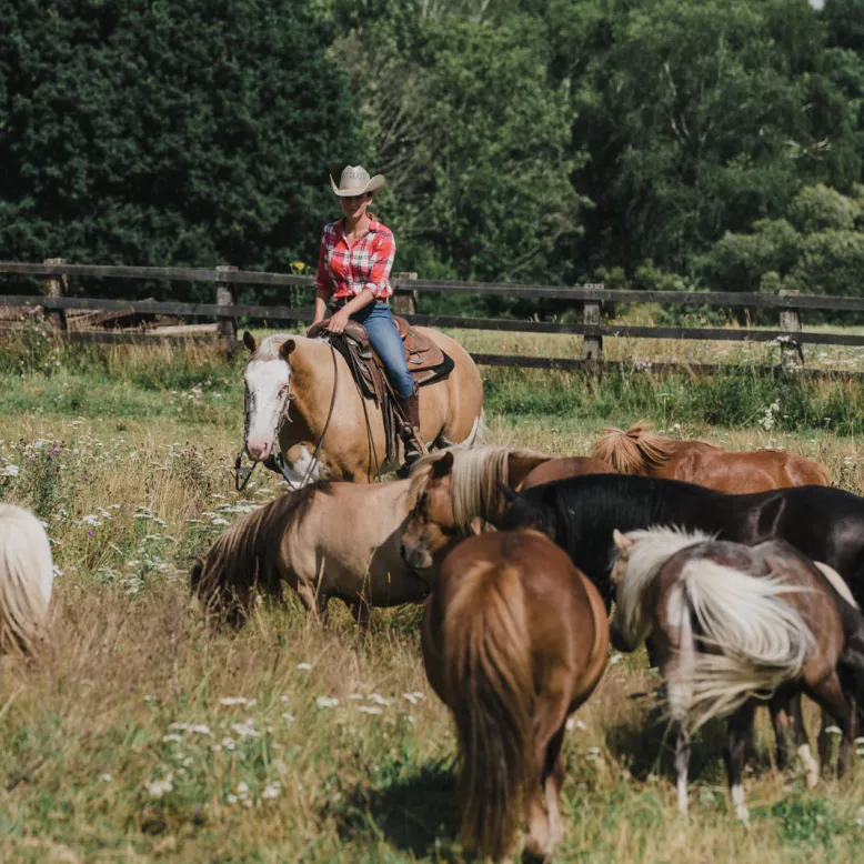 CG Reigning Horses