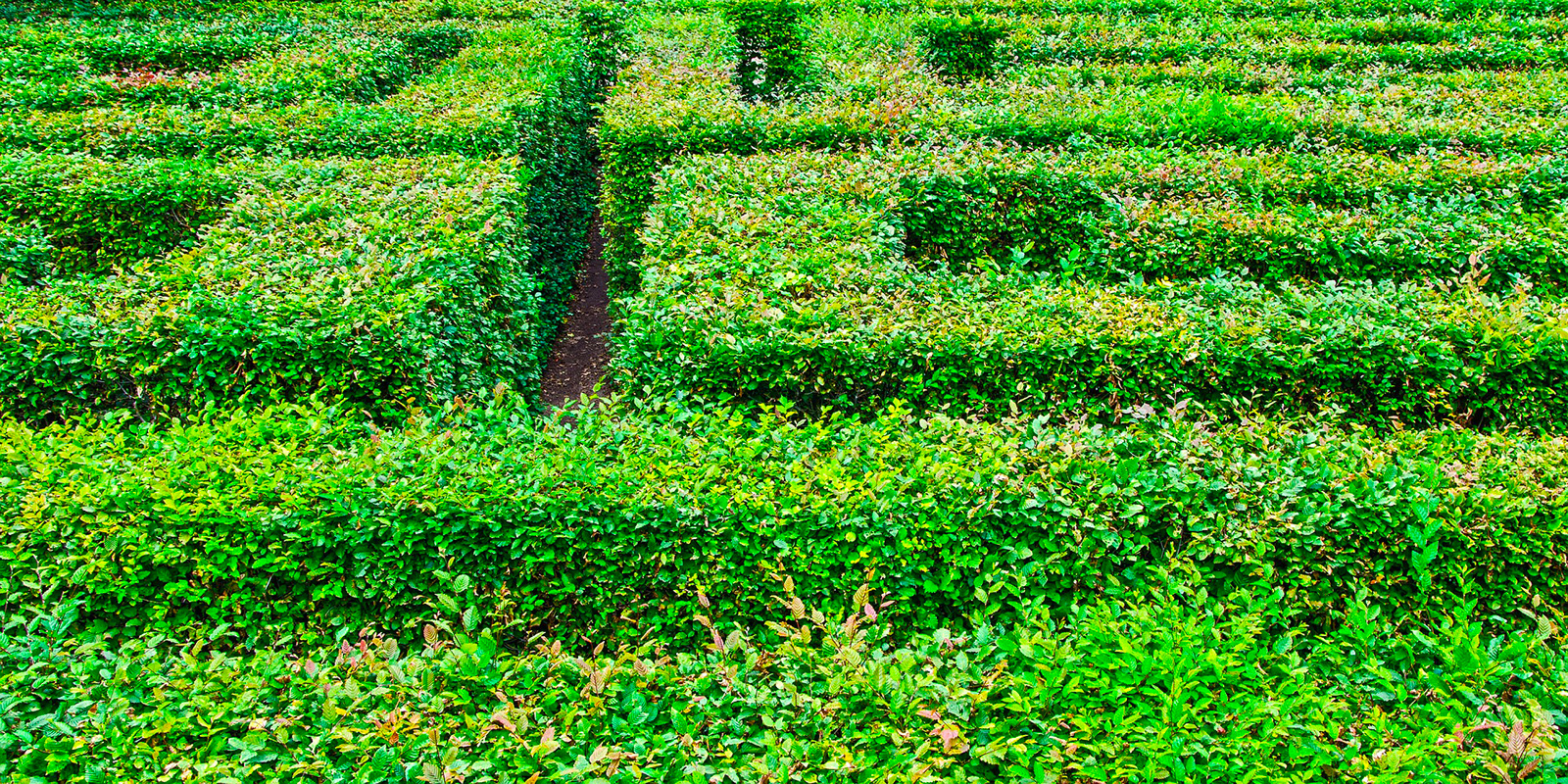 The Colette Gardens and its giant labyrinth