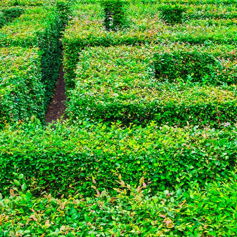 The Colette Gardens and its giant labyrinth