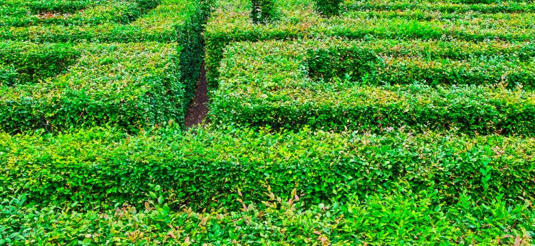 The Colette Gardens and its giant labyrinth