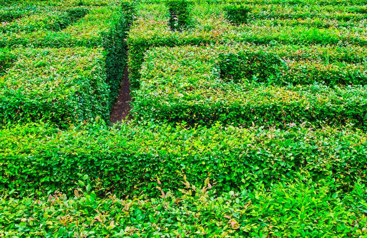 Les Jardins de Colette et son labyrinthe géant