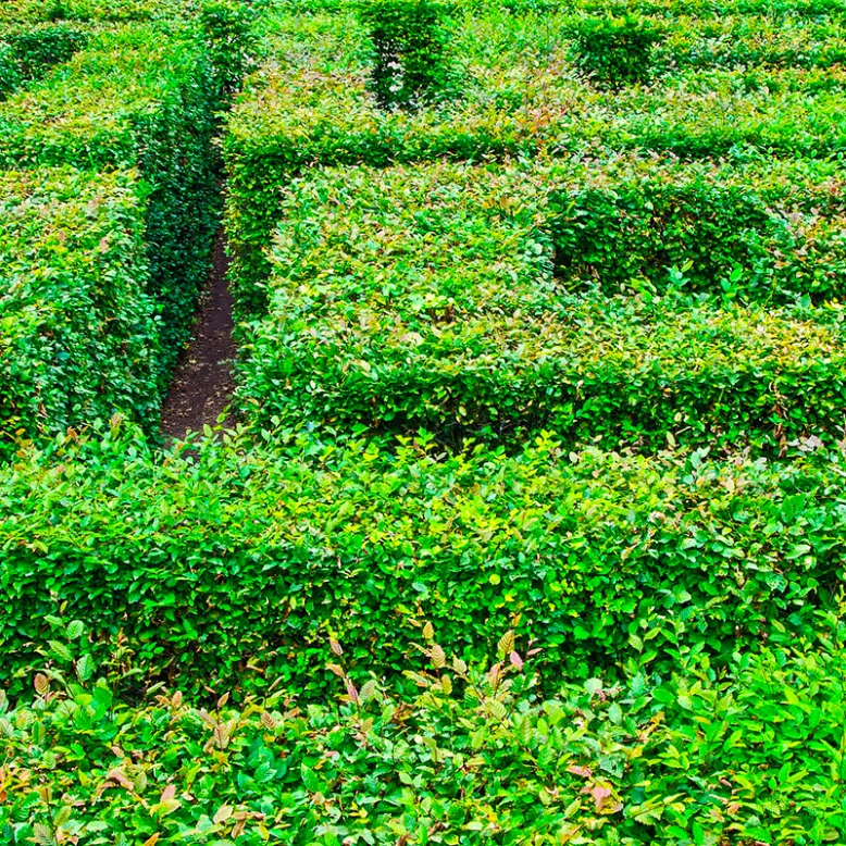 Les Jardins de Colette et son labyrinthe géant