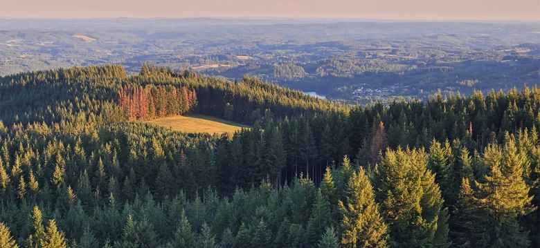 Parc naturel régional du Plateau de Millevaches