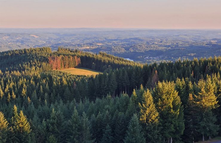 Parc naturel régional du Plateau de Millevaches