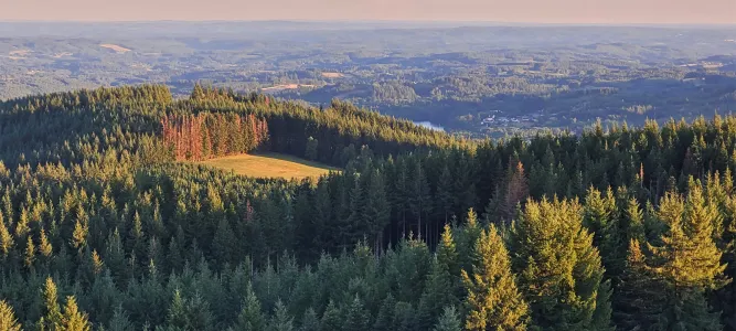 Parc naturel régional du Plateau de Millevaches