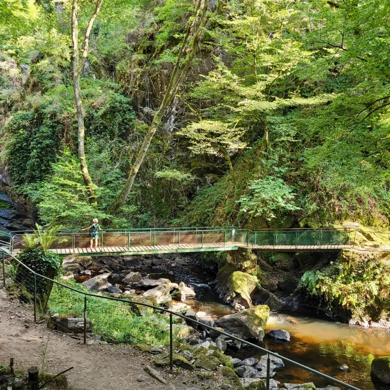 Visit of Gimel-les-Cascades