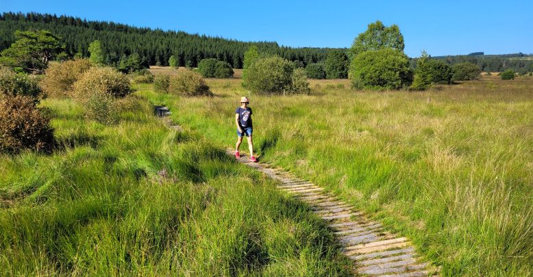 Walk in the Peat bogs of Longeyroux