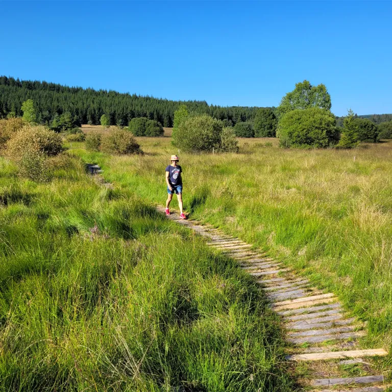 Walk in the Peat bogs of Longeyroux
