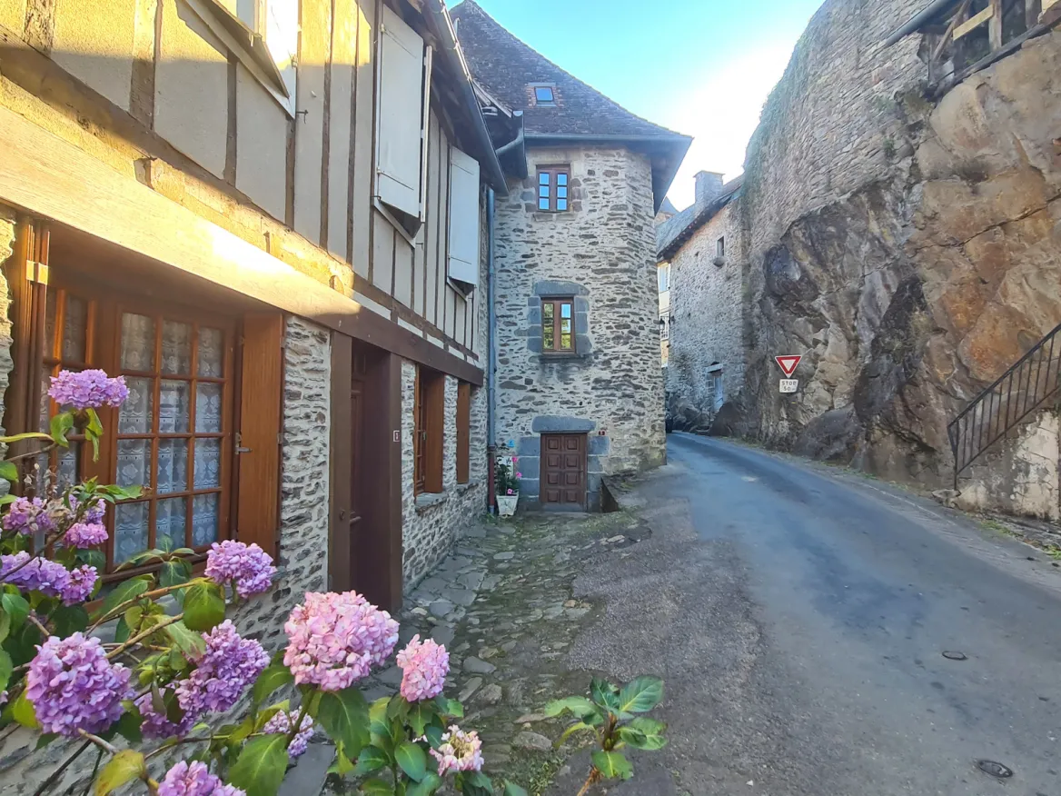Ségur-le-Château