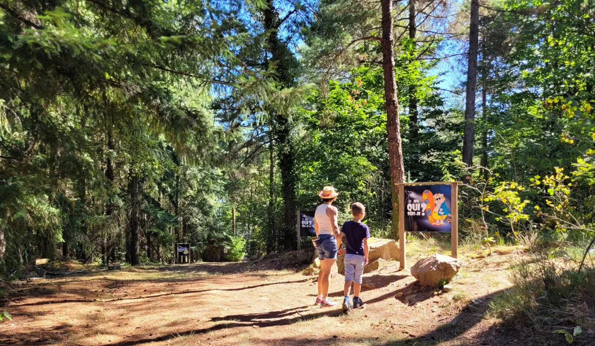 The Pig Trail