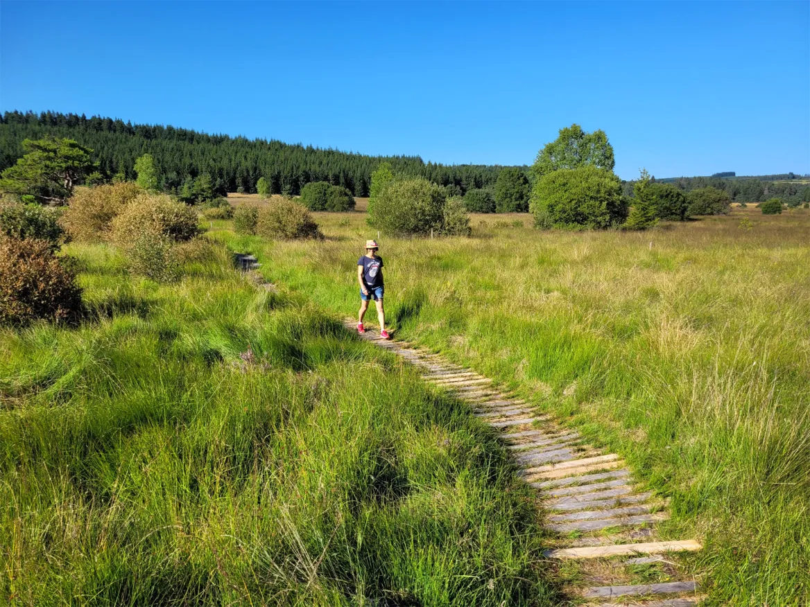 The peat bogs of Longeyroux