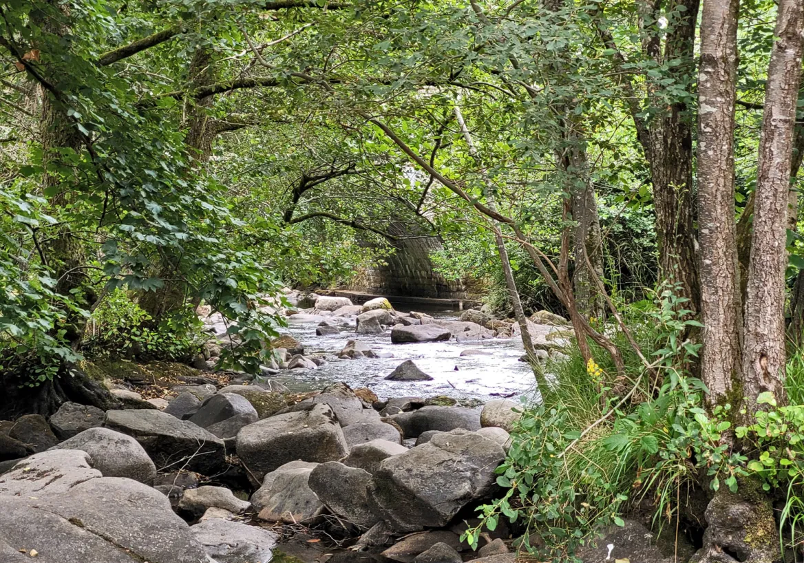 La rivière Corrèze qui traverse le village du même nom