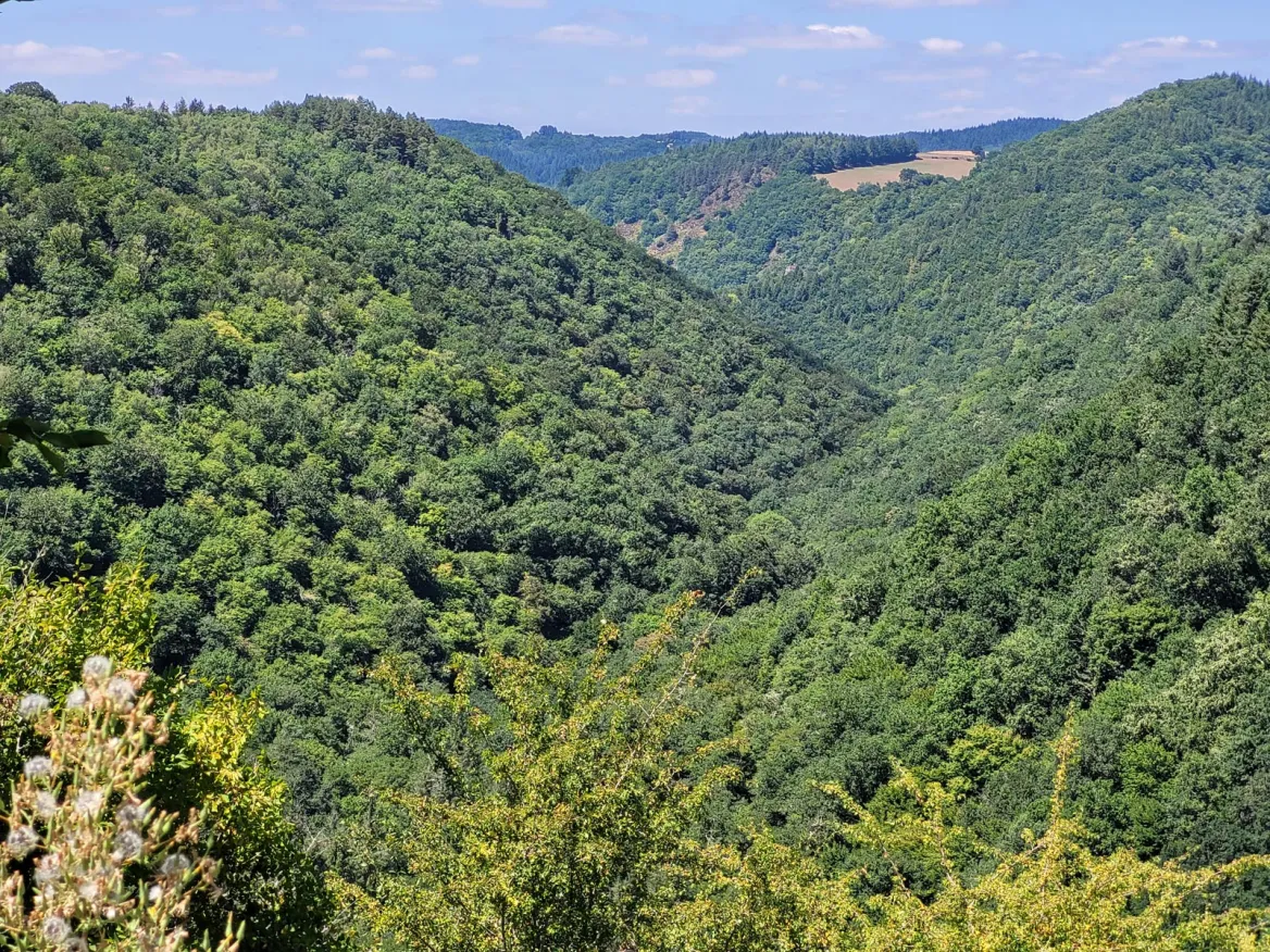Paysage de Xaintrie