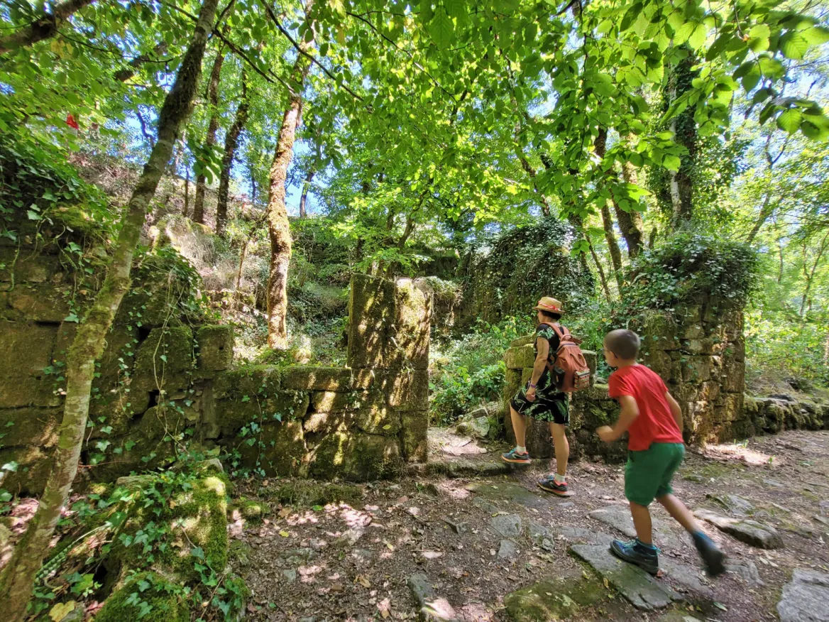 Les tours de Carbonnières