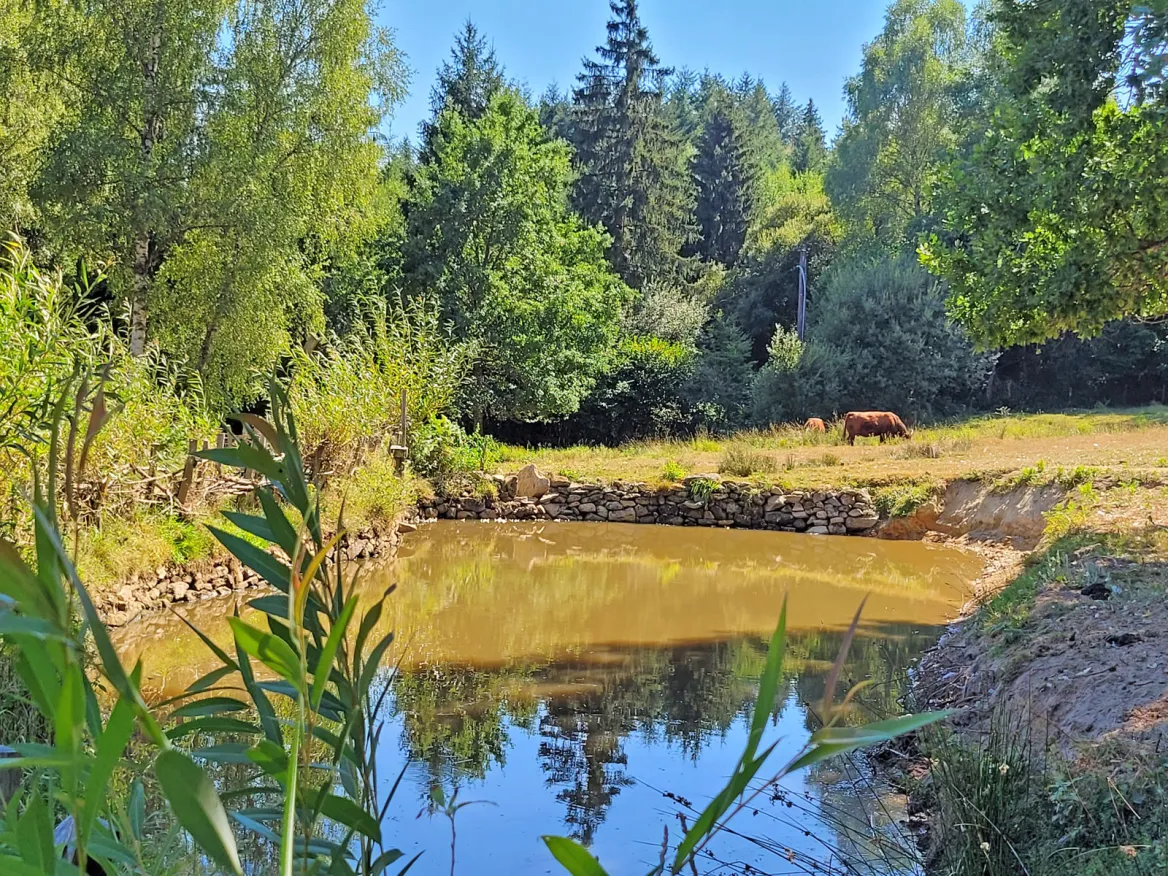Les Fermes du Moyen-âge